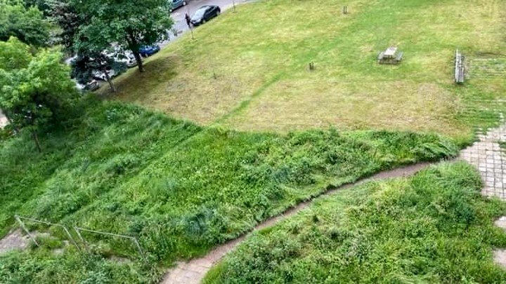 УНИКУМ: Окосиха тревата наполовина в столична градинка 