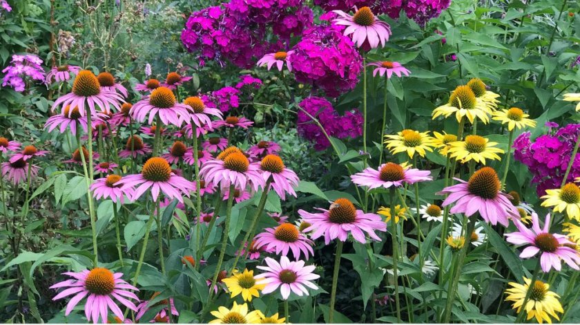 През нощта облачността ще се разкъса и намалее, в Източна