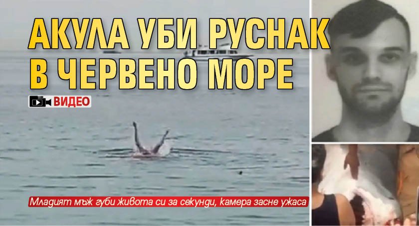 Акула уби руснак в Червено море (ВИДЕО)