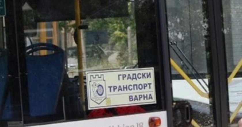 Варна с нощни автобуси от понеделник
