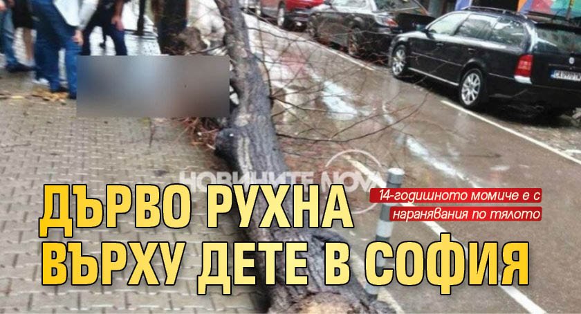 Дърво рухна върху дете в София