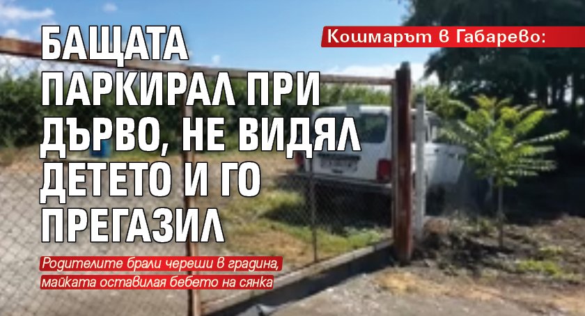 Кошмарът в Габарево: Бащата паркирал при дърво, не видял детето и го прегазил
