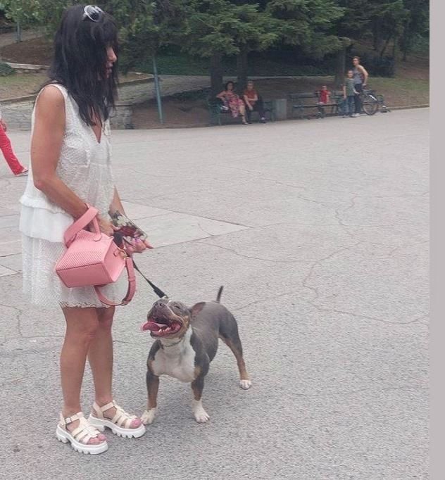 Куче е нахапало дете в Пловдив. По първоначална информация инцидентът
