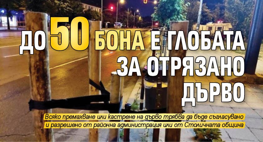 До 50 бона е глобата за отрязано дърво