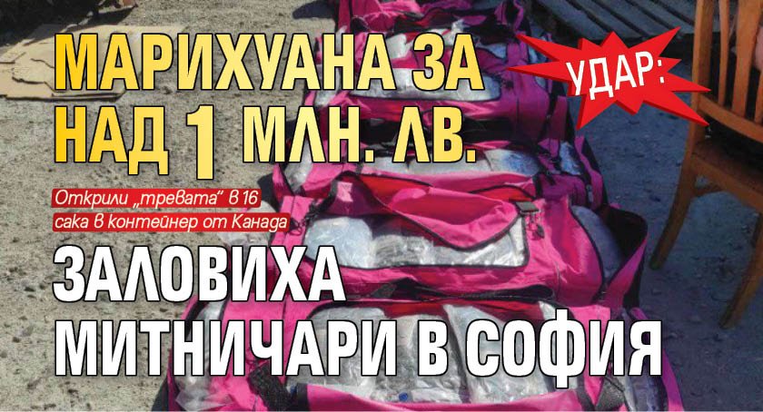 Удар: Марихуана за над 1 млн. лв. заловиха митничари в София