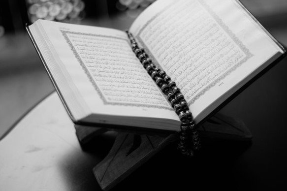 След седемчасова акция планински спасители от Банско и Разлог успешно