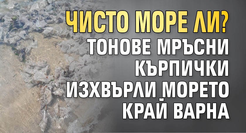 Чисто море ли? Тонове мръсни кърпички изхвърли морето край Варна