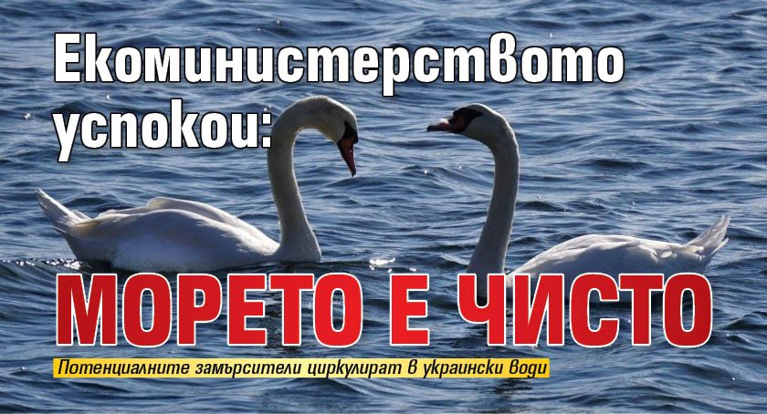 Екоминистерството успокои: Морето е чисто