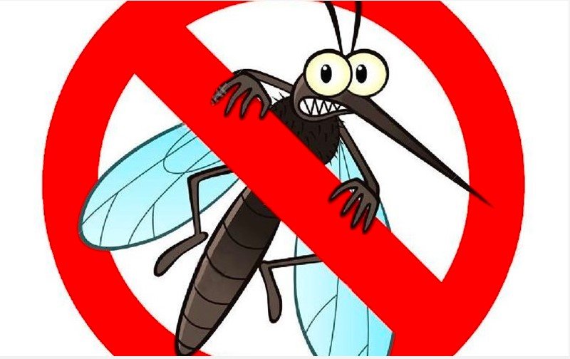 Започва масово пръскане срещу комари по поречието на Дунав