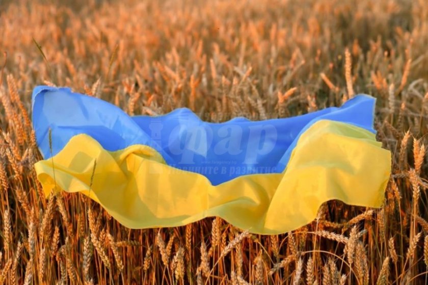 Украйна обмисля транспортирането на зърно през България и Румъния