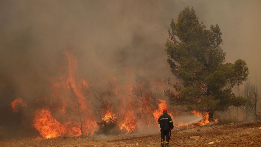 Гърция овладя ситуацията с горските пожари
