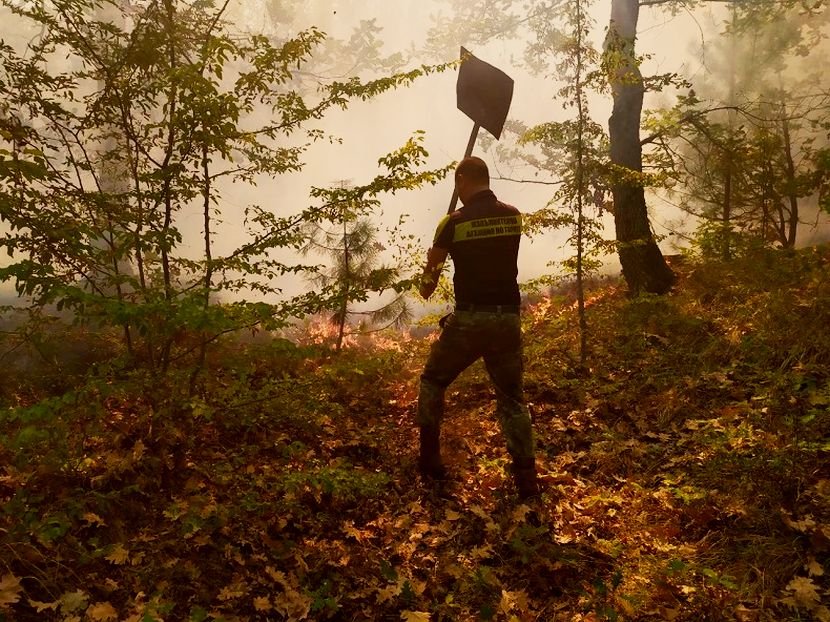 Пожар пламна в Национален парк „Пирин”