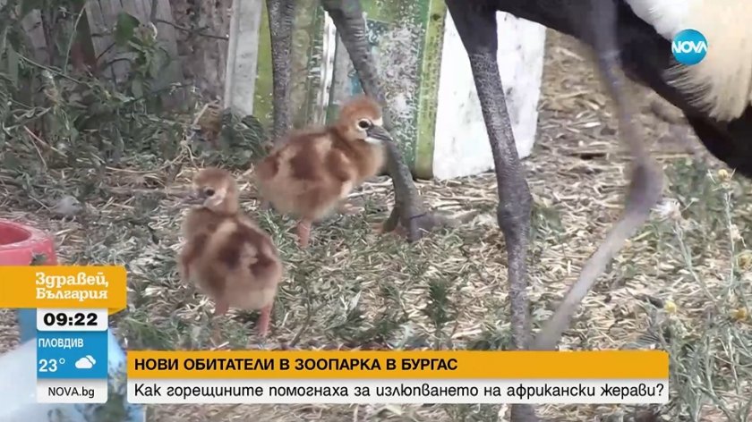 Вижте какви сладурчета се родиха в Бургас