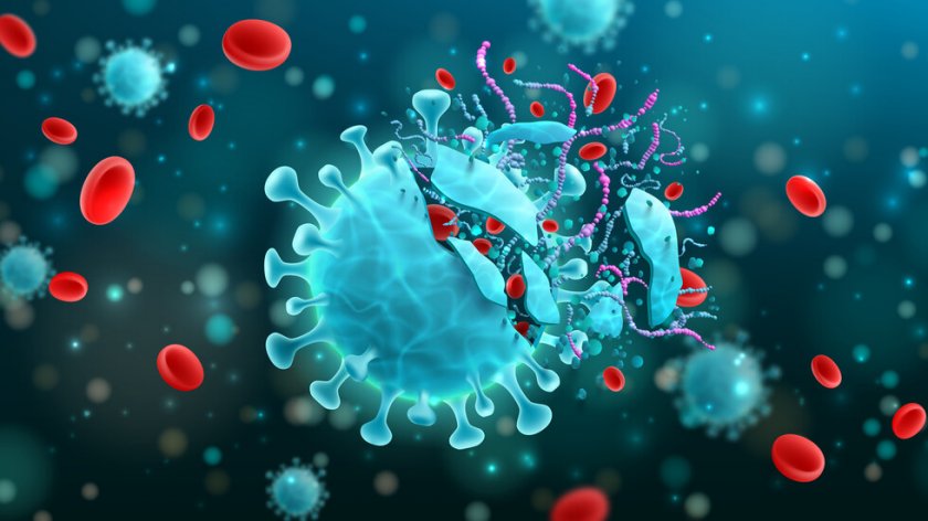 16 заболели от коронавирус у нас отчете статистиката за ден