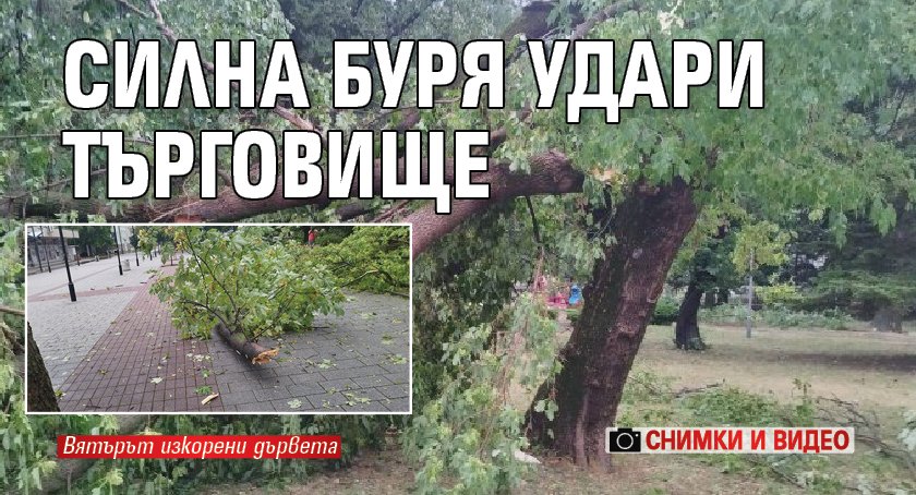 Силна буря удари Търговище (СНИМКИ И ВИДЕО)