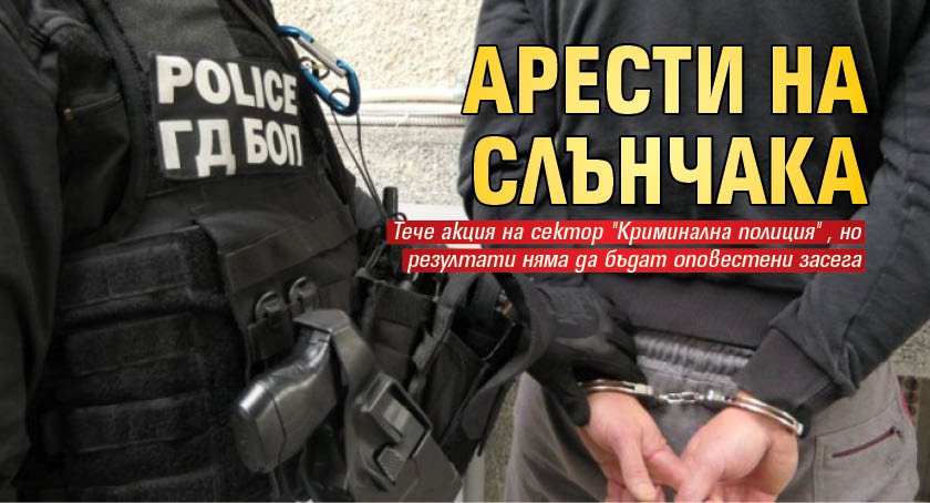 Арести на Слънчака