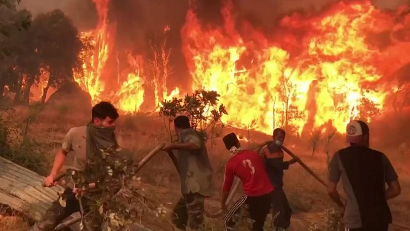 Пожари в Алжир убиха 15 души