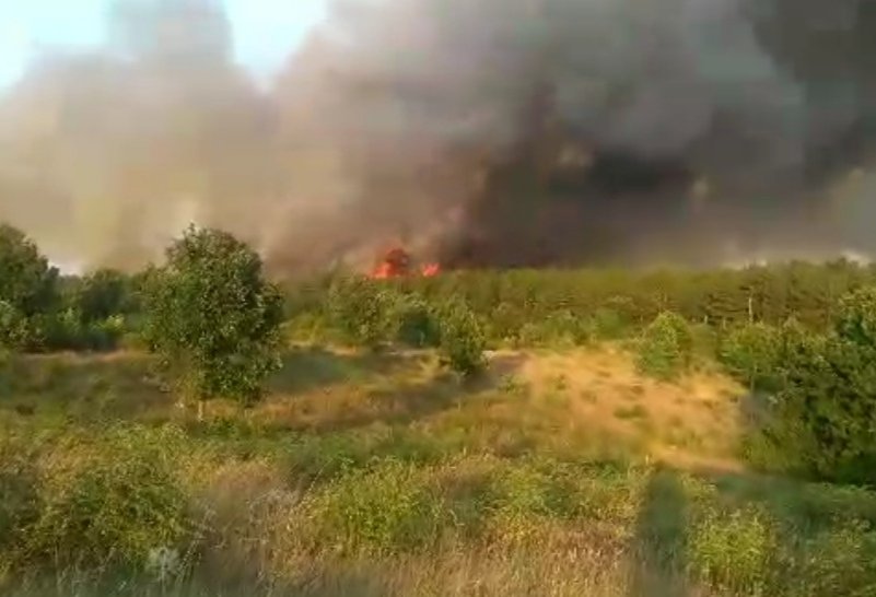 Отново се разгоря пожарът, който избухна в сряда край Пазарджик