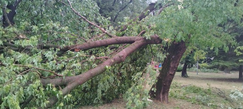 След горещините силна буря, придружена с градушка, удари снощи Търговище.