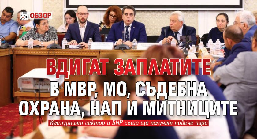 Вдигат заплатите в МВР, МО, съдебна охрана, НАП и митниците (ОБЗОР)