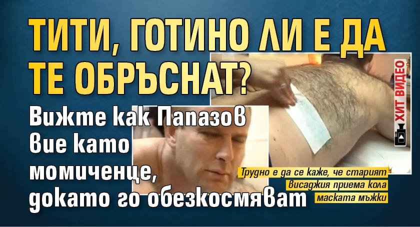 Тити, готино ли е да те обръснат? Вижте как Папазов вие като момиченце, докато го обезкосмяват (ХИТ ВИДЕО)