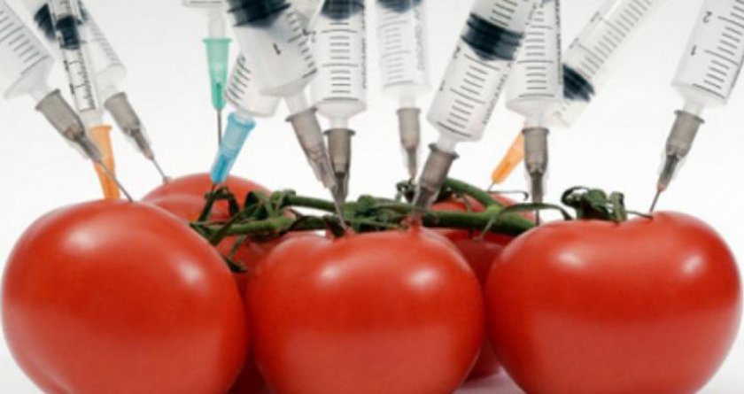 В Европа се дискутира как трябва да изглежда земеделието на