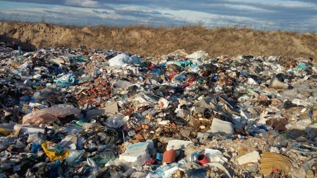 АГРЕСИЯ В ПЛОВДИВ: Ром нападна служители на чистотата
