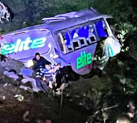 Автобус падна в пропаст в Мексико, загинаха десетки