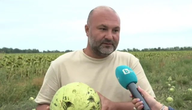 Реколтата унищожена: Ще бъдат ли обезщетени земеделците в Дулово след градушката?
