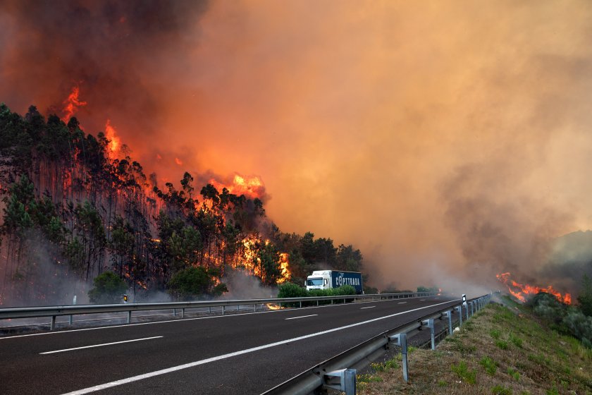 Борбата с пожар в Южна Португалия, в която участват стотици