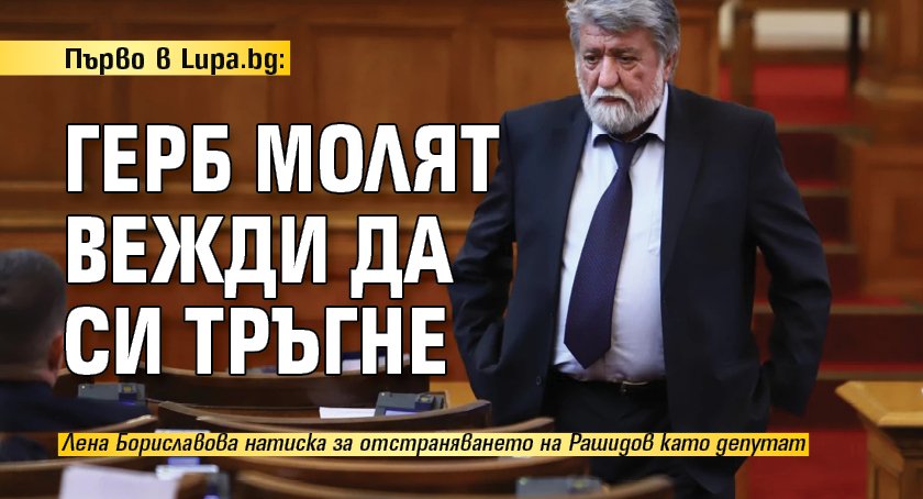 Първо в Lupa.bg: ГЕРБ молят Вежди да си тръгне