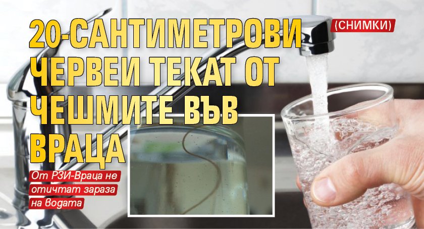 20-сантиметрови червеи текат от чешмите във Враца (СНИМКИ)