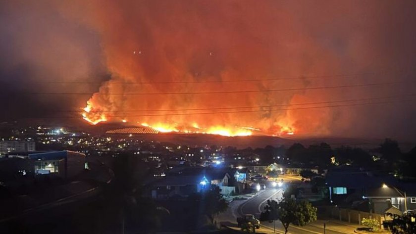 Най-малко 36 души загинаха при горските пожари в Мауи. Бедствието принуди