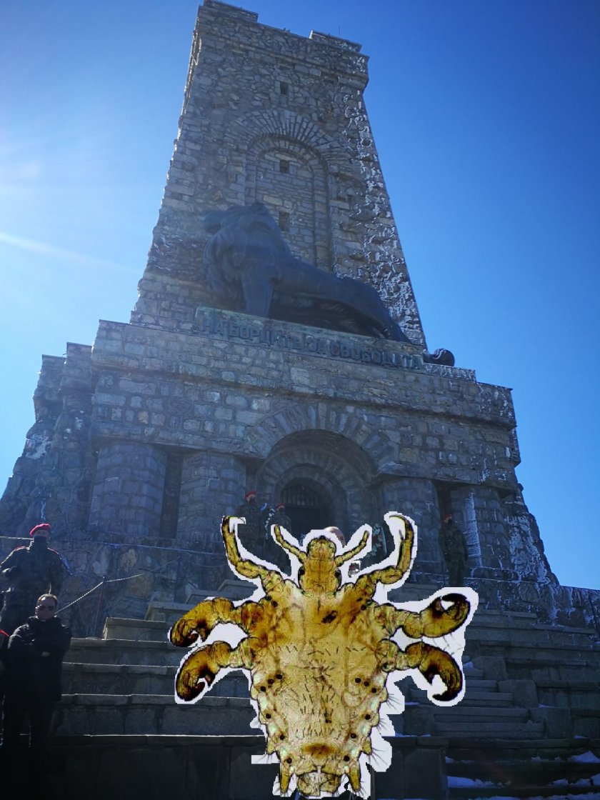 Срамната, или по народному пича“ въшка, е дребен, генитален паразит,