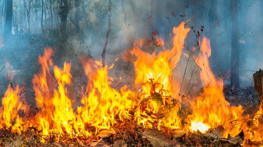 Рекорд: 202 пожара са изгасили огнеборците ни за денонощие