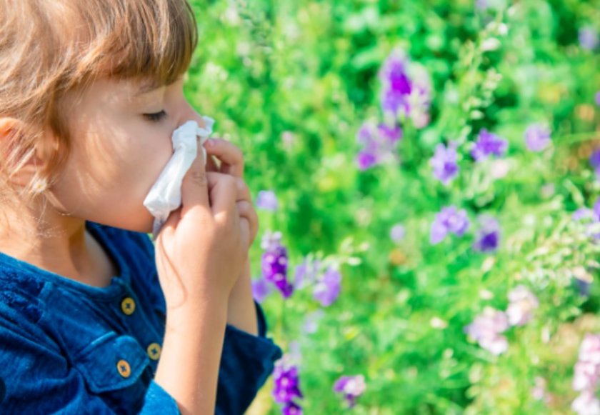 Няколко от най-разпространените алергии при децата са свързани с бактерии