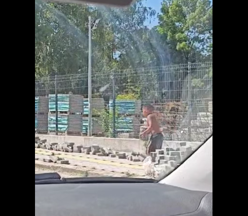 ДАЗД се самосезира за детето с паветата