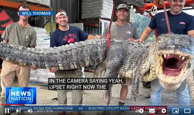 Ловци хванаха най-дългия алигатор, залавян някога в Мисисипи, в реката