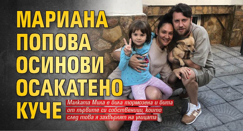 Мариана Попова осинови осакатено куче