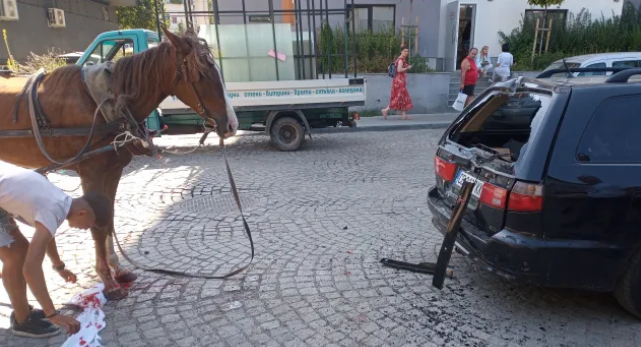 Инцидент между каруца и автомобил е станал вчера в София.