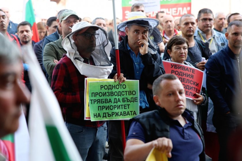 Пчеларите на протест за спиране на безмитния внос на мед от Украйна