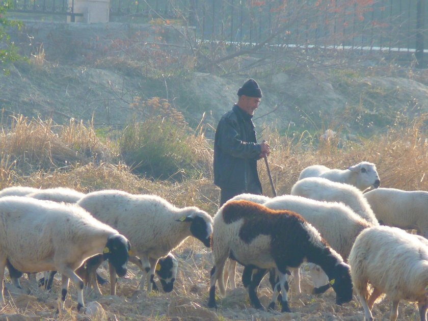 25-годишният пастир Наско Благоев, който на 3 септември подаде фалшив