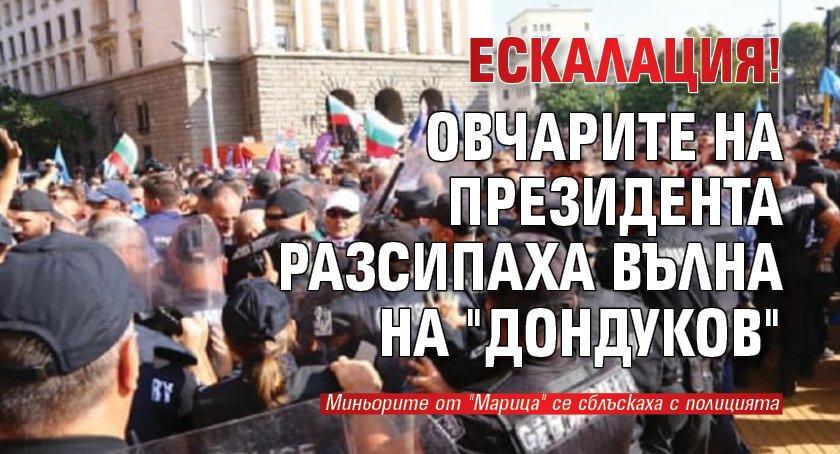 Ескалация! Овчарите на президента разсипаха вълна на "Дондуков"