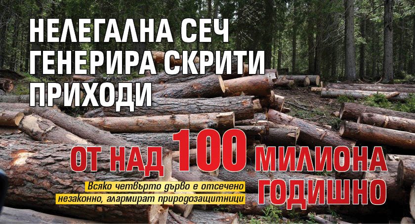 Нелегална сеч генерира скрити приходи от над 100 милиона годишно