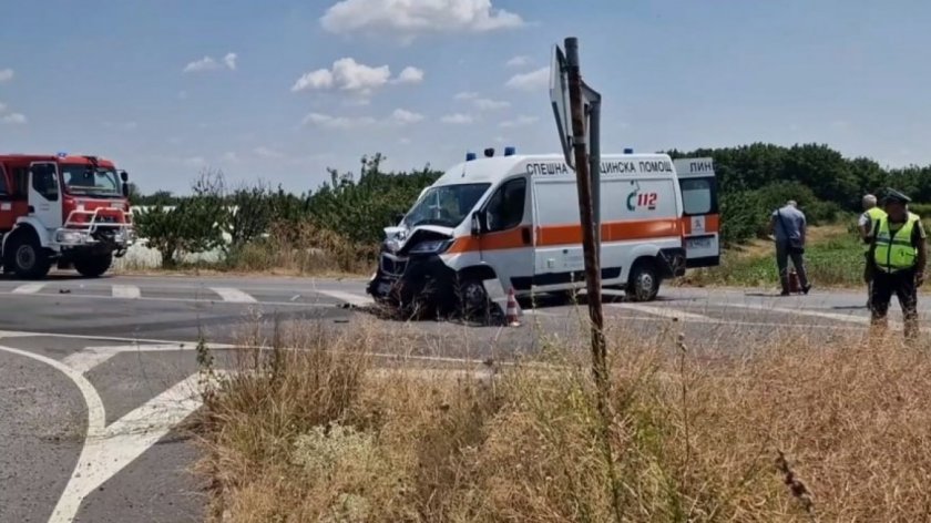 Линейка с пациент удари кон, изскочил на пътя край Кюстендил