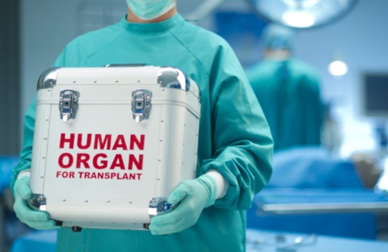 850 българи чакат за трансплантация на орган