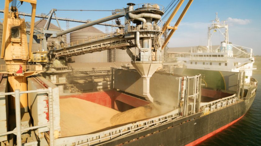 Зa тpи мeceцa нaд 200% pъcт в изнoca нa бългapcĸo xлeбнo зъpнo