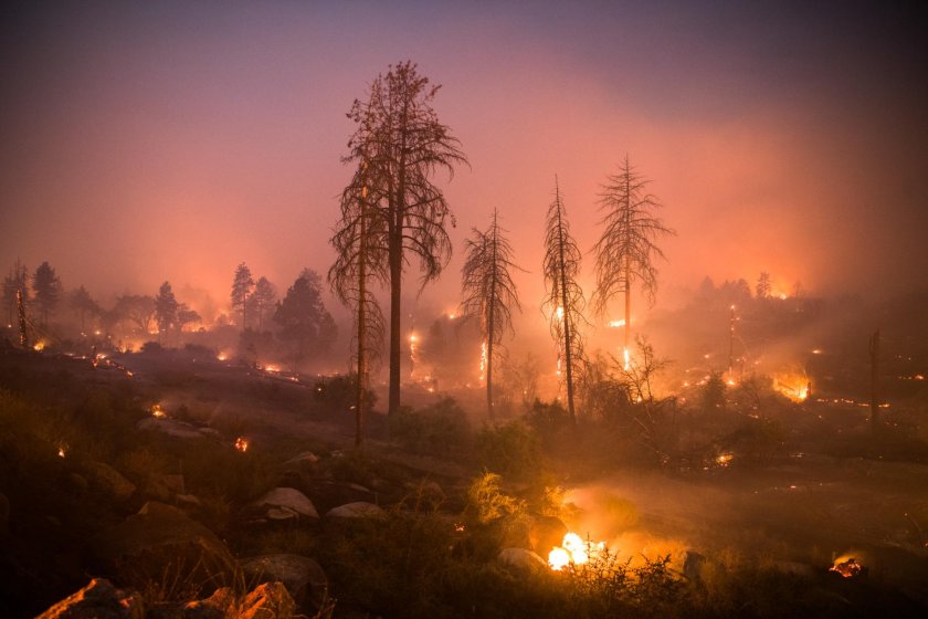 Пожарите в Калифорния убиха двама, стотици са ранени