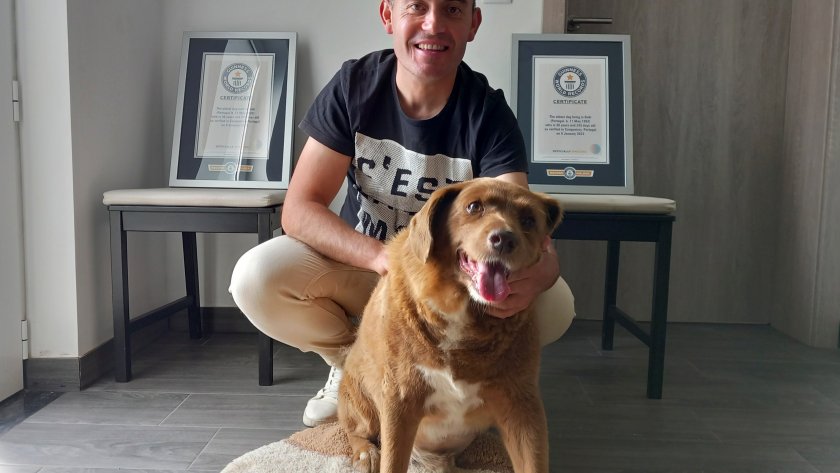 Почина най-старото куче в света, съобщиха на сайта си от Световните рекорди