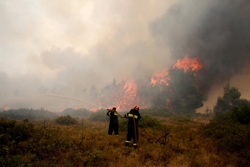 Общо 154 пожара са загасени в страната през изминалото денонощие,